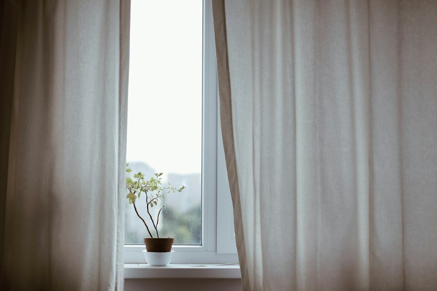 Window with sheer curtain and plant